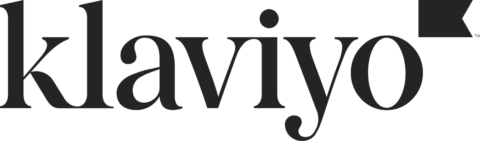 Klaviyo Partners