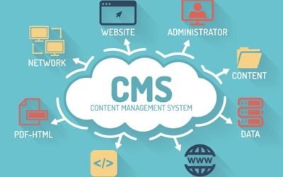 CMS y Ecommerce: La combinación ganadora para tu negocio digital