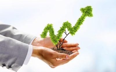 RSC en el Ecommerce sostenible: Prácticas ambientales en la cadena digital