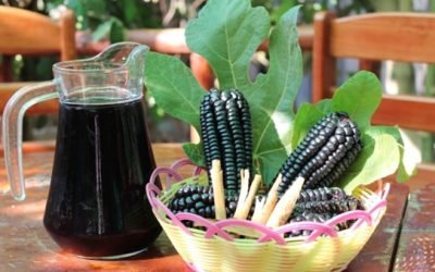 ¿Cómo promocionar cualquier producto?: el marketing digital y el producto tradicional